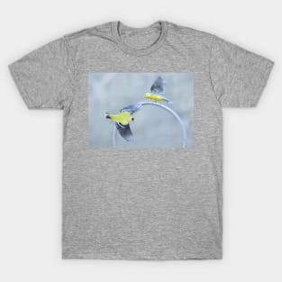 Goldfinches T-Shirt